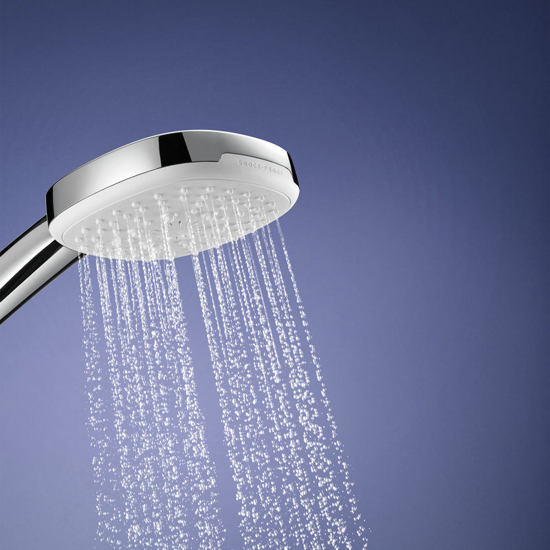 Tempesta 110 Square 2-Spray Hand Shower, Chrome