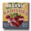 «Radish» par Fiona Stokes-Gilbert, art mural sur toile-606600112