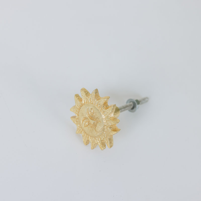 Alexiea 45mm Novelty Knob
