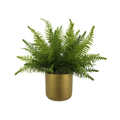 Outdoor UV-Rated Fern in Fiberstone Pot