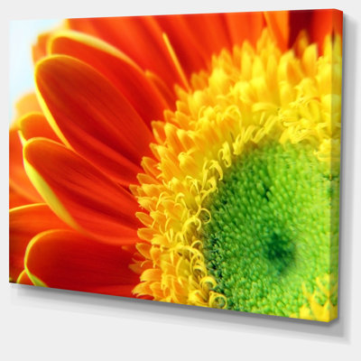 Gerber Daisy Flower Petals - reproduction de photo sur toile