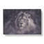 Lion In The Mist - Wrapped Canvas-56638227