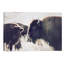 Photographie buffalo-43719319-43719323