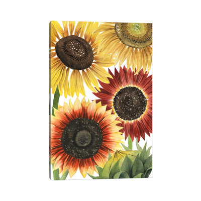 " Sunflower Harvest Collection B " Painting