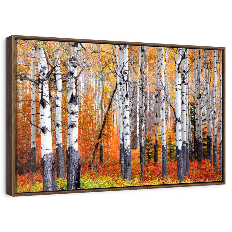 Forêt de trembles de Banff, 13 po x 9 po, Cadre flottant noyer