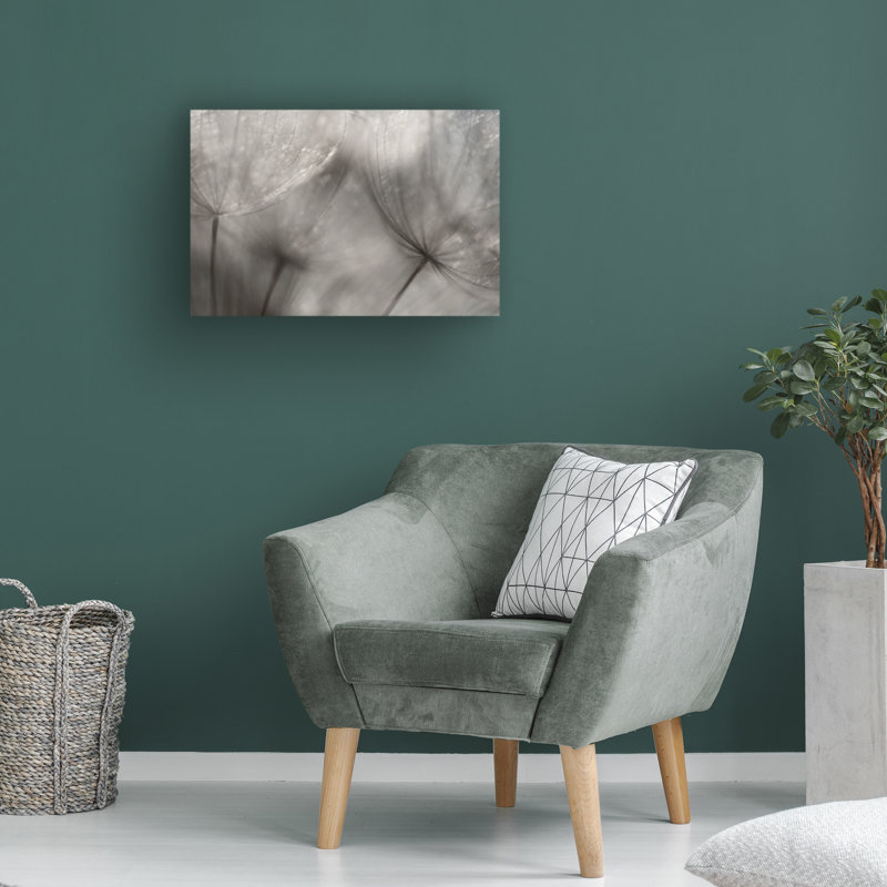 Art sur toile «Bachely Penny Myles Seedlings», H 22 po x l 32 po