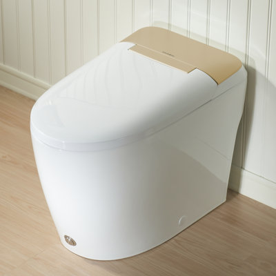 Modern One-Piece Toilet with Gold Decorative Cover, Pressure-Assisted Flush, Hands-Free Foot Kick Flush, 1.0 GPF Water-Saving, Soft Close Seat, Standard 12'' Rough-In