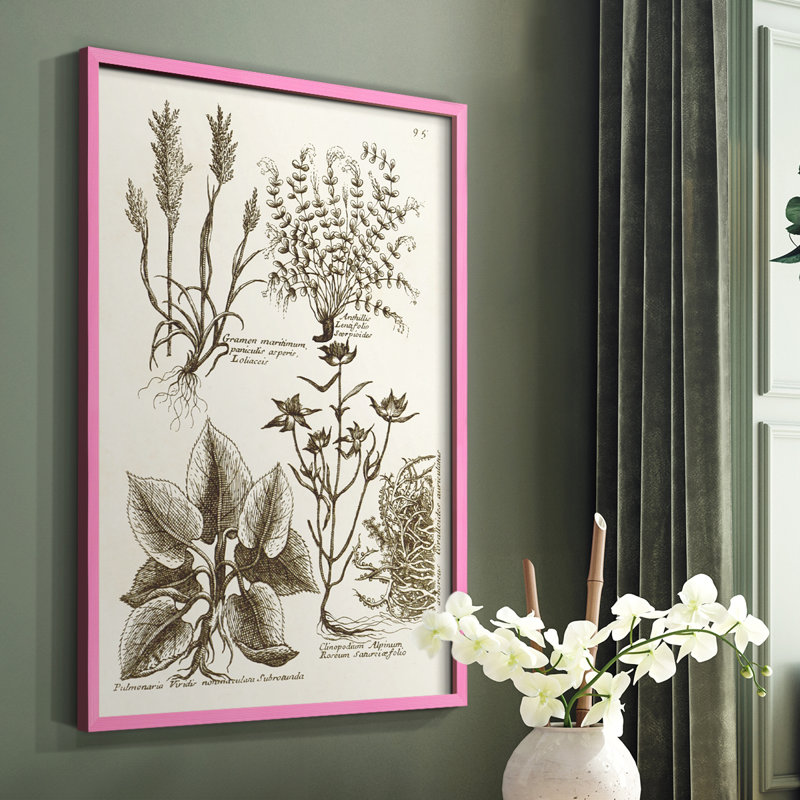 «Sepia Botanical Journal VII», reproduction encadrée - bois massif, Rose, H 10 po x l 8 po
