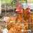 Fencer Wire 12.5 Gauge Galvanized Welded Fence Wire Roll with Mesh , Multiple Options-106974087