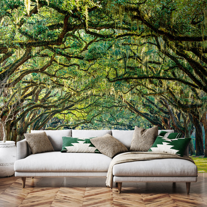 Tree Walk Matt Smooth Paste the Wall Mural 300cm wide x 240cm high, 240 cm L x 300 cm W