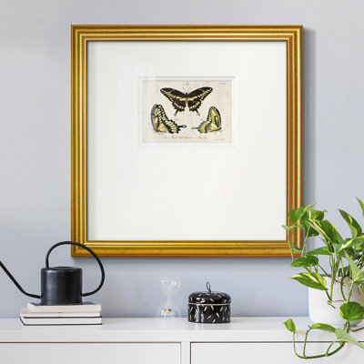 " Crackled Butterflies I "