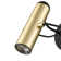 Plug-in Spotlight