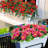 Rectangle Window Boxes Planters 8 Pcs, Plastic Rectangular Window Flower Box Indoor, Herb Pots with Drainage Holes, Dark Grey