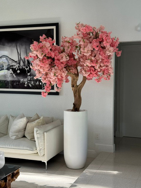 Cerisier rose en pot blanc mat