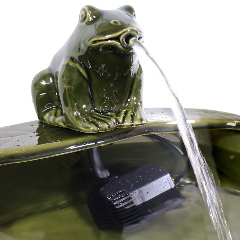 Hyman Ceramic Solar Frog Outdoor Water Fountain