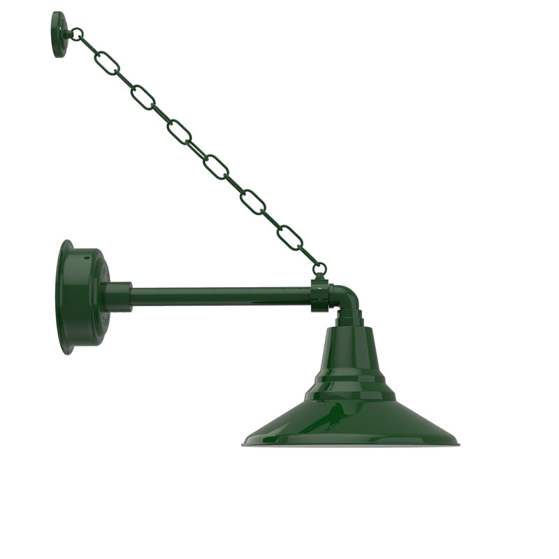 Luminaire de grange d’extérieur à del Albali, H 12 po x l 12 po x P 23 po, Vert rétro