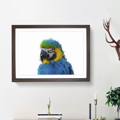 Macaw Parrot - Framed Print