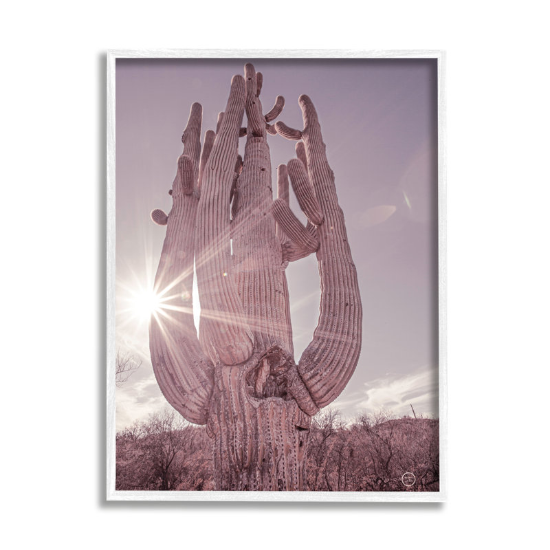 Désert soleil, cactus, paysage, fusée solaire, photographie de ferme grise surdimensionnée, encadré par estampe numérique, art texturé par Nathan Larson
