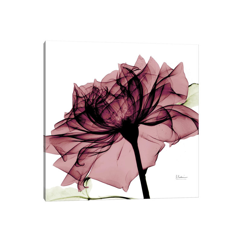 Chianti Rose I by Albert Koetsier - Wrapped Canvas Painting, 45.72 cm H x 45.72 cm W x 1.91 cm D
