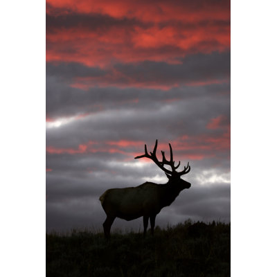 Yellowstone Sunset by Skyhobo