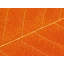 Autumn Leaf Print by Philippe Monthoux-65809640-132456988