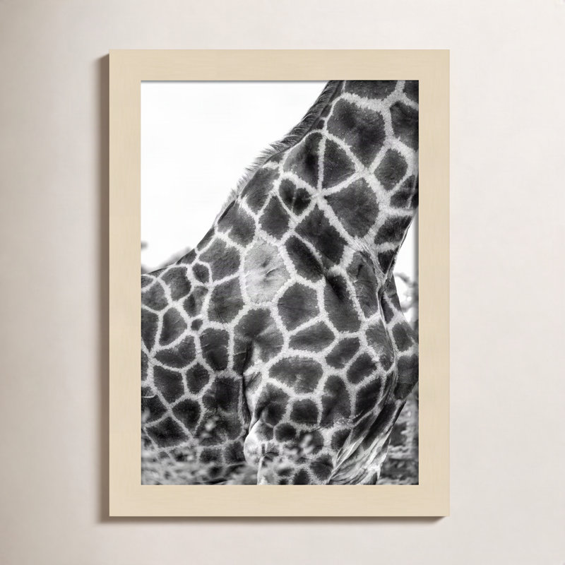 «Rochellt Super Safari No 3 Giraffe» par Shot par Clint Wood, reproduction d'art encadrée, Brun, H 13 po x l 10 po