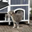 Maison pour chat Pawhut