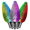 Colour