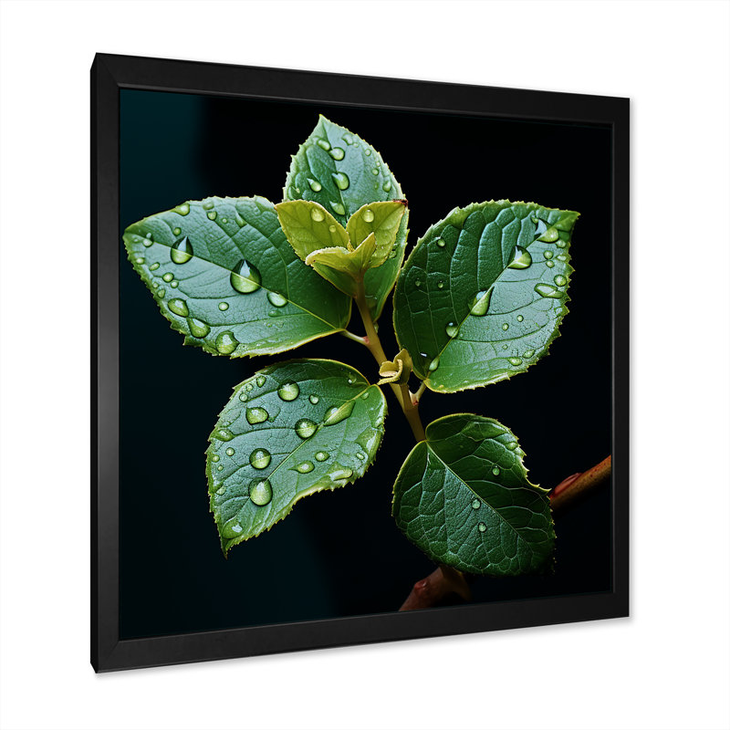 " Teal Tranquility Leaf Expression I ", Black Single Picture Framed, 24" H x 24" W x 1" D