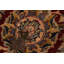 Tapis oriental noir / rouge en laine noué à la main 8 pi 3 po x 10 pi 2 po Roca