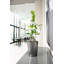 Deltini Pot Planter-16493042-16493044