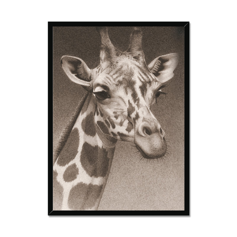 Jean The Giraffe (P) by Robert L. Caldwell, Jr. - Print, Black Framed Paper Print, 50cm H x 34cm W