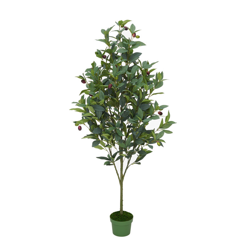 52 " H Faux Olive Tree in Plastic Pot Liner
