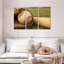 Articles de baseball Sireci-107935305