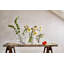 Anemone Vase, Medium-74515524