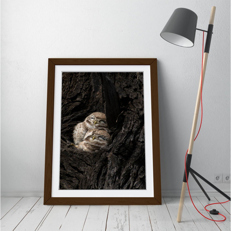 Single Picture Frame Print, 64 cm H x 47 cm W, Brown