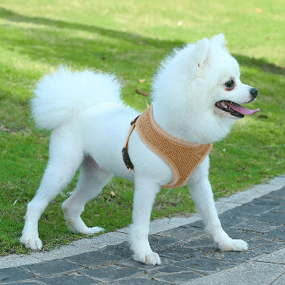 Harnais pour chien en maille, harnais anti-traction ajustable et rembourré avec anneau en D et boucle pour chiens