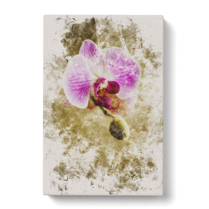 Orchid Flowers Vol.6 - Wrapped Canvas, 60cm H x 40cm W x 3cm D
