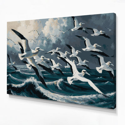 «Birds Northern Gannet», art mural sur toile