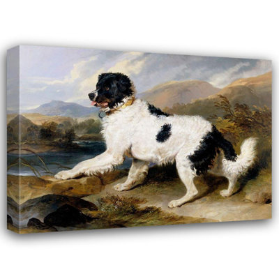 Art sur toile tendue avec la galerie Sir Edwin Henry de Alcott Hill® Landseer, titre: Un chien de Terre-Neuve