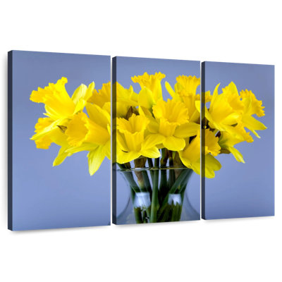 Toutes les jonquilles jaunes Harnek