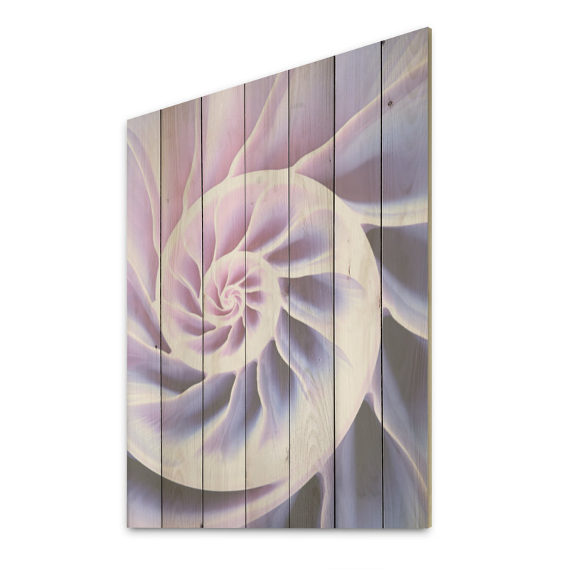 Lavis Sea Sheel Infinity Sprial - Nautilus, art sur bois de pin naturel, H 40 po x l 30 po