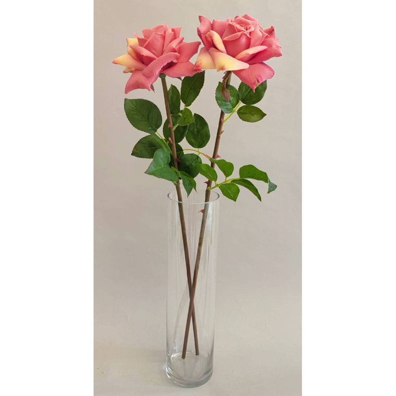 TIGE DE ROSE 27 po, Rouge