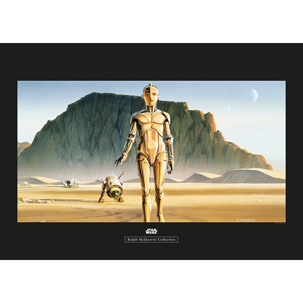 Poster Star Wars Rmq Droids