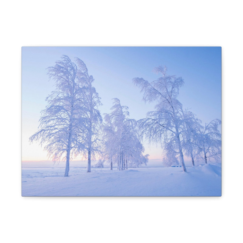 «Frosty Trees At Dawn Beautiful Winter», art mural sur toile, H 12 po x l 18 po