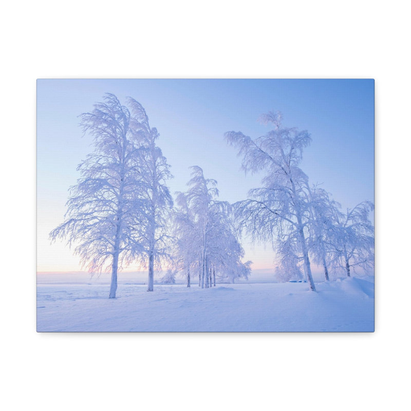 Wall Art on Canvas, 16cm H x 20cm W