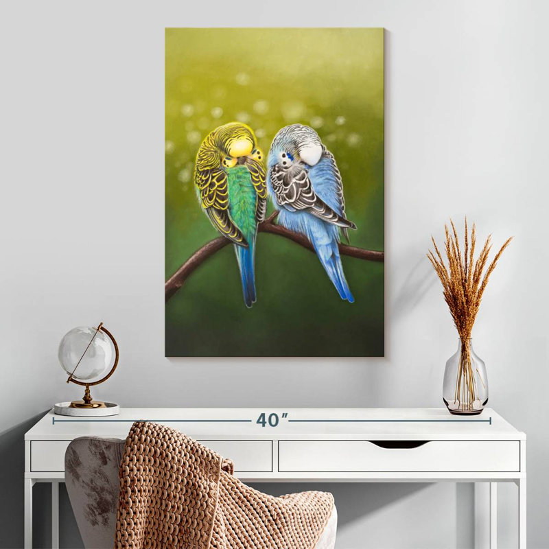 Budgie Siesta, H 30 po x l 20 po