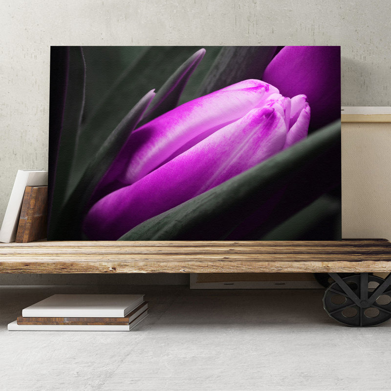 Flower Purple Tulip Photographic - Wrapped Canvas - Framed Print, 50cm H x 76cm W
