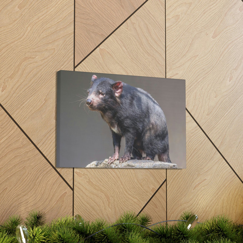 «Tasmanian Devil H chasse», art mural, H 12 po x l 18 po