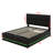 Deaundra Upholstered Platform Storage Bed-1000707688-955994494